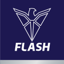 Flash logo 130x130